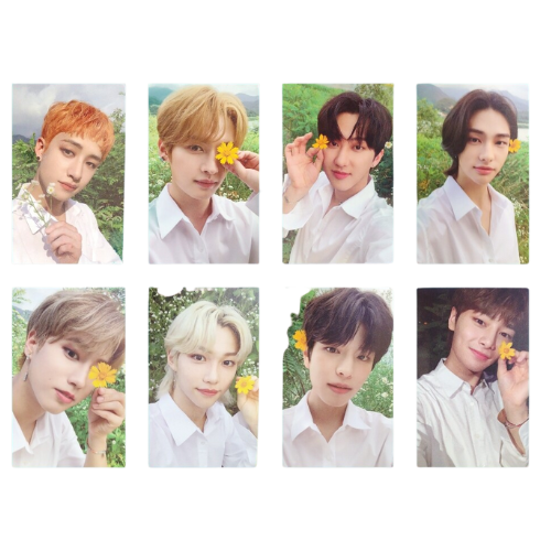 Stray Kids NoEasy Pre Order Photocard