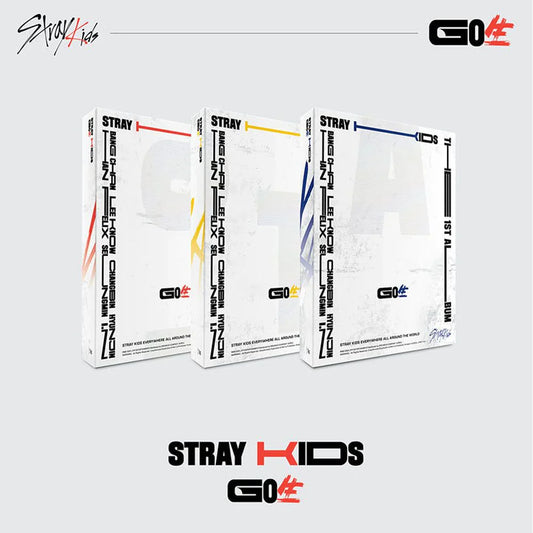 Stray Kids - 1st Album GO LIVE
